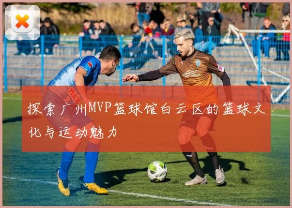 探索广州MVP篮球馆白云区的篮球文化与运动魅力