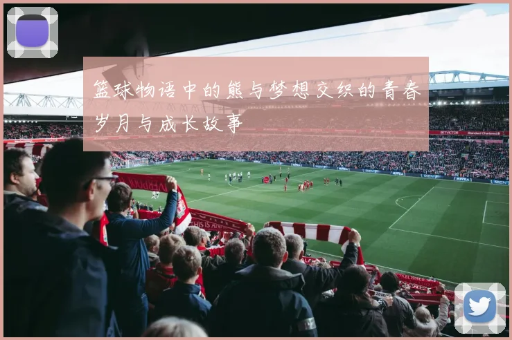 篮球物语中的熊与梦想交织的青春岁月与成长故事