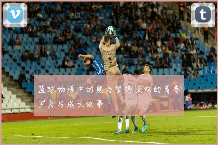 篮球物语中的熊与梦想交织的青春岁月与成长故事