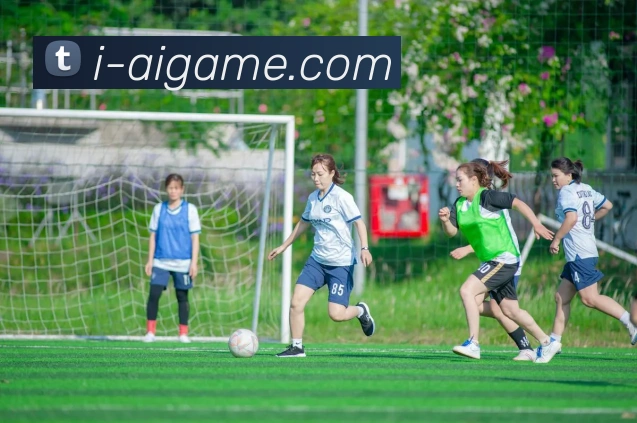 多媒体互动体验